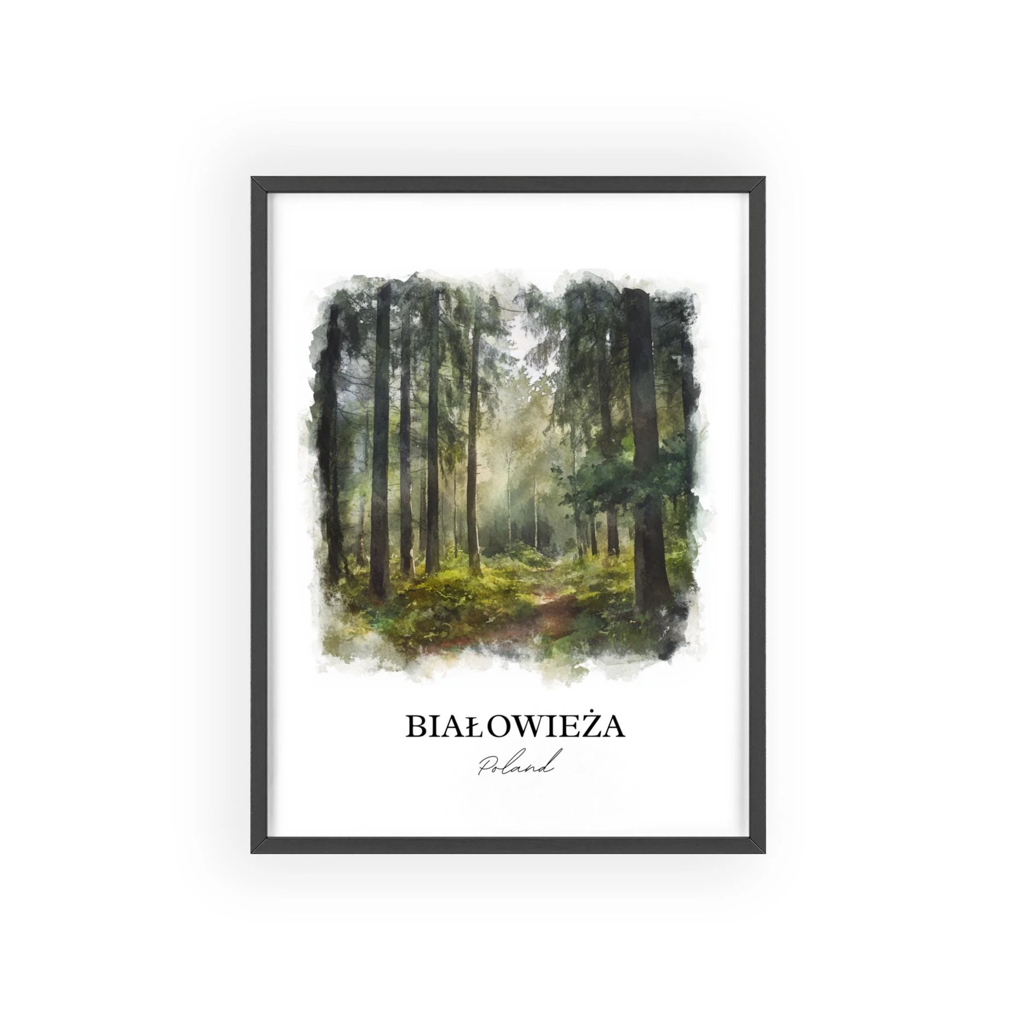 Bialowieza, Poland – Watercolor Art Print - Image 7