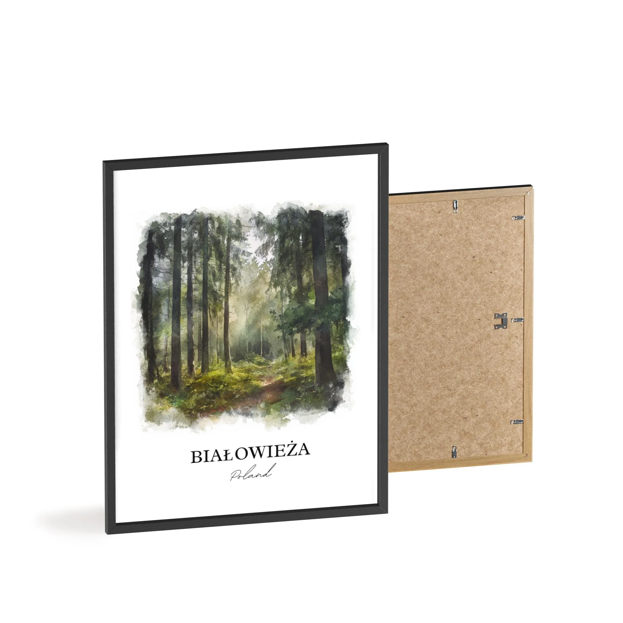 Bialowieza, Poland – Watercolor Art Print - Image 8