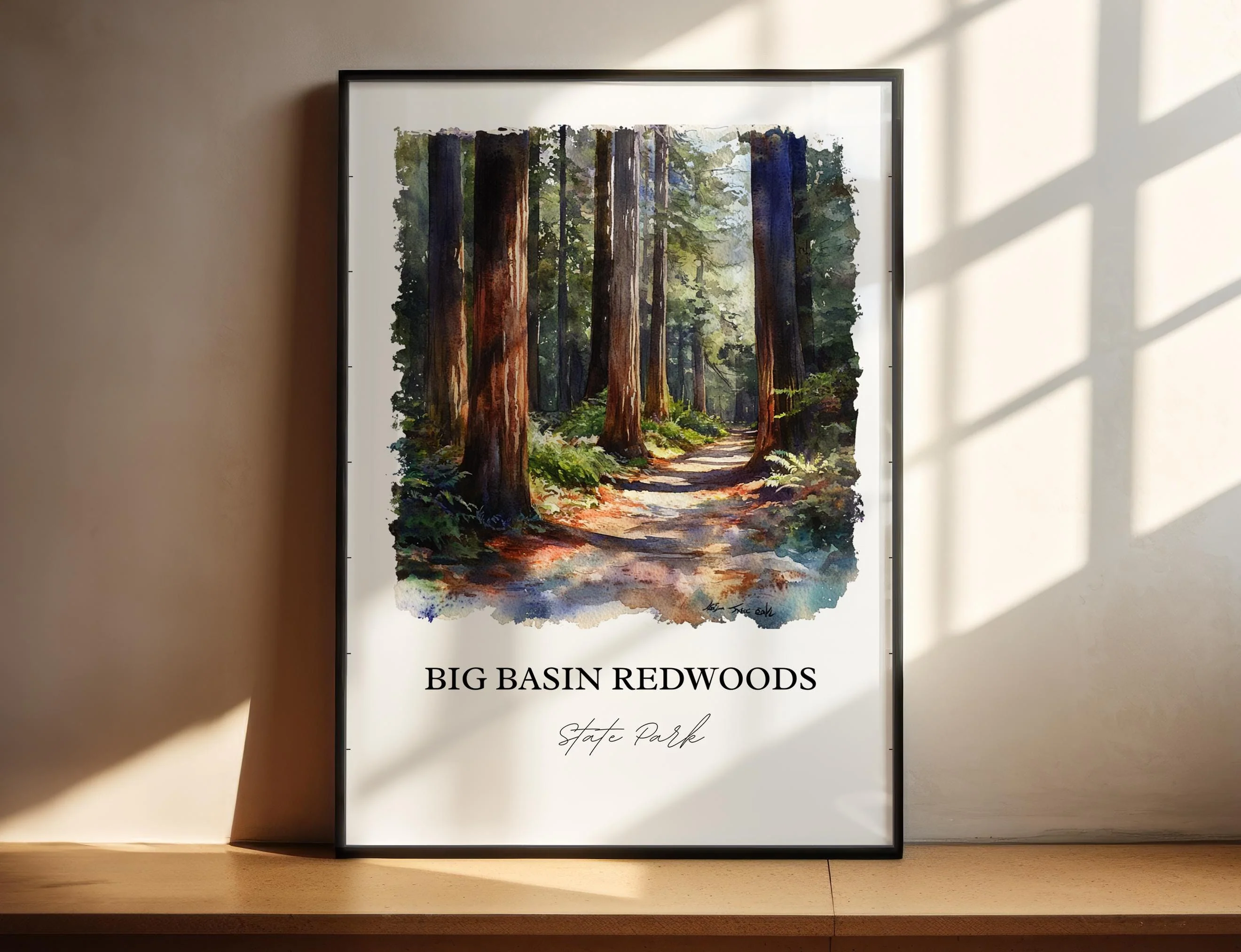 Big Basin Redwoods, California – Watercolor Art Print