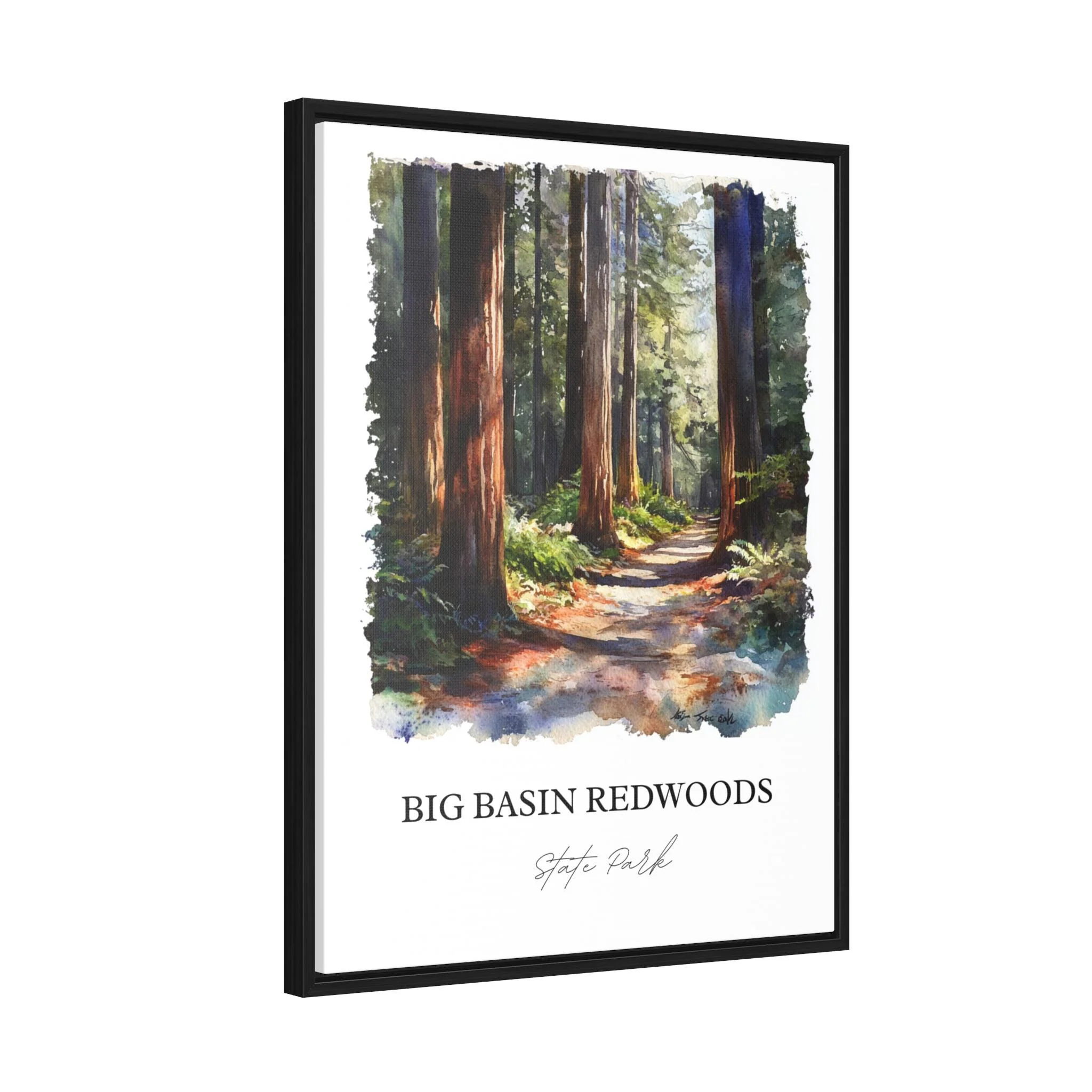 Big Basin Redwoods, California – Watercolor Art Print - Image 8