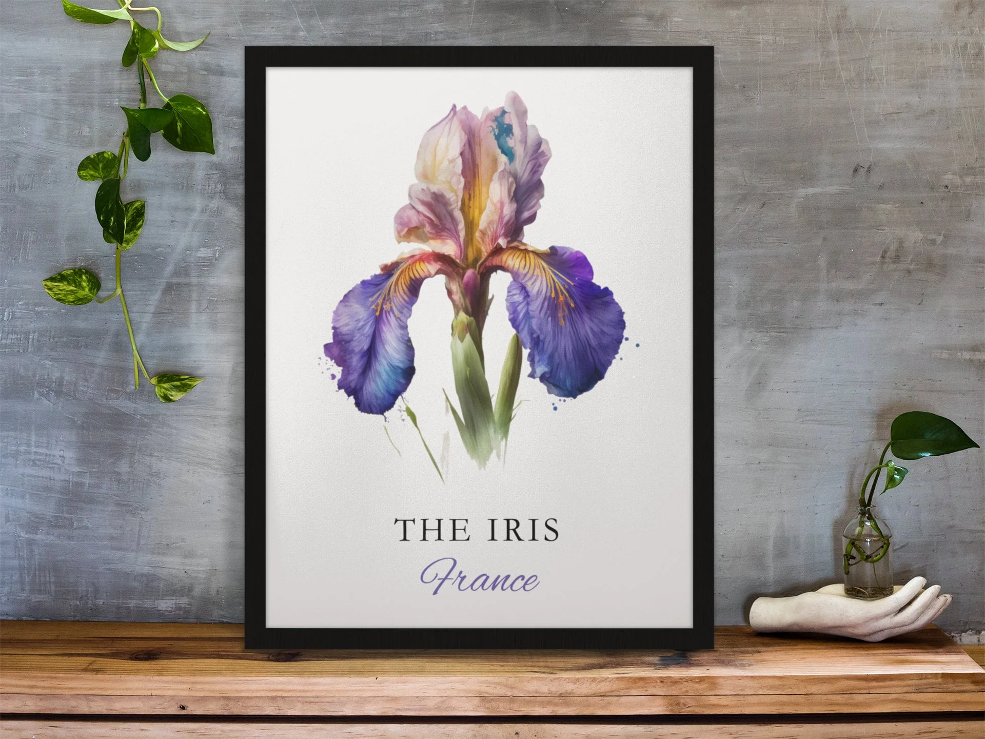 Iris Flower, France – Watercolor Art Print