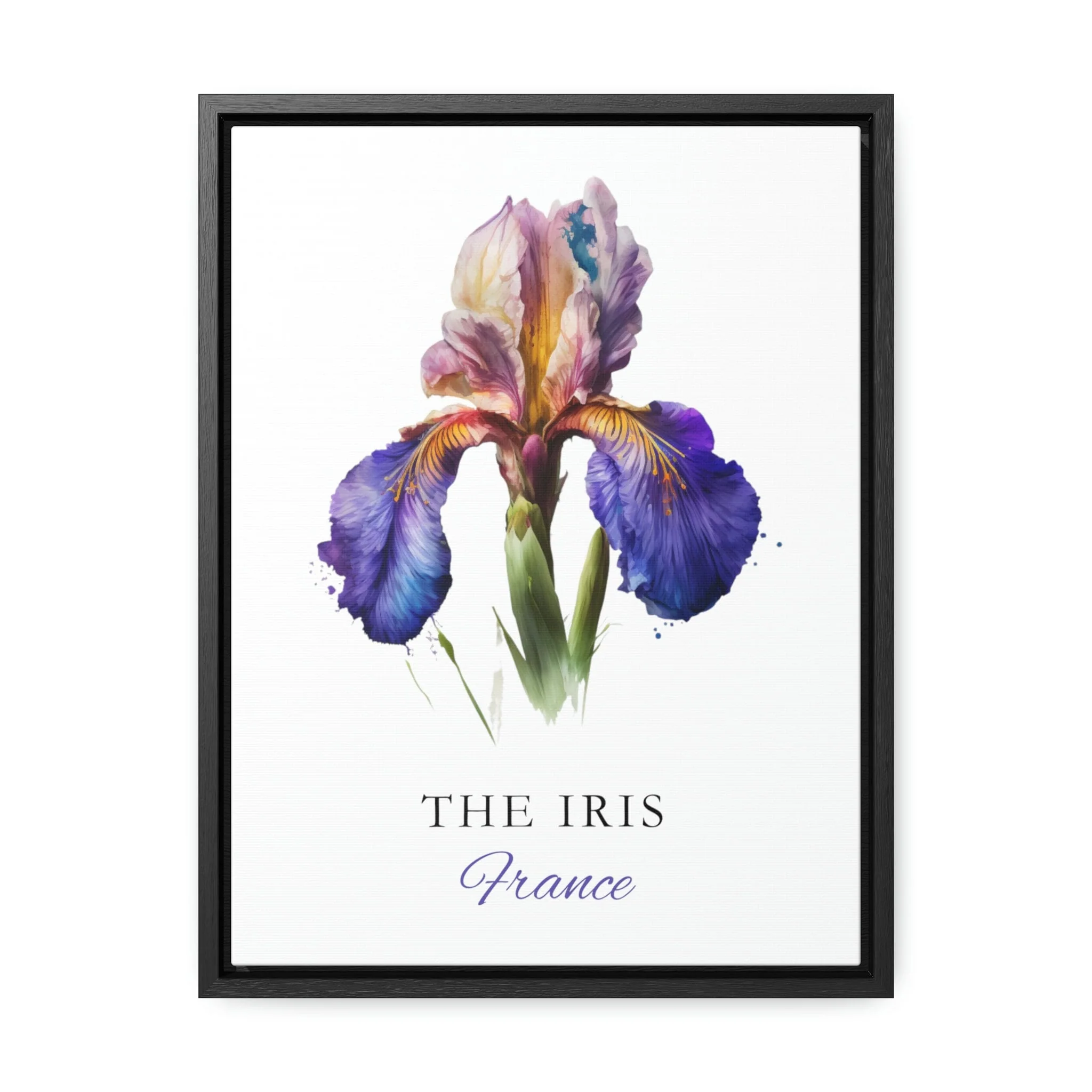 Iris Flower, France – Watercolor Art Print - Image 2